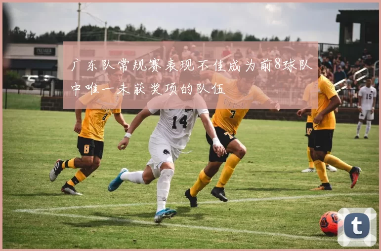 广东队常规赛表现不佳成为前8球队中唯一未获奖项的队伍