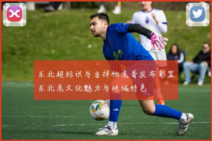 东北超标识与吉祥物虎哥发布彰显东北虎文化魅力与地域特色