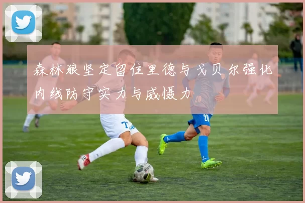 森林狼坚定留住里德与戈贝尔强化内线防守实力与威慑力